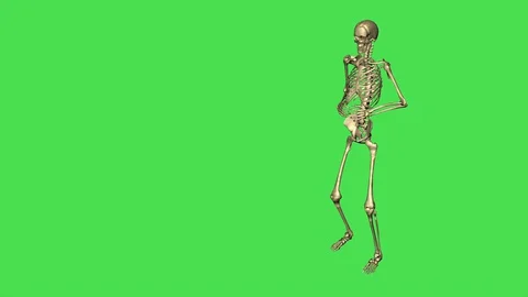 Skeleton Watch With Binoculars - Separate On Green Screen Stock Footage 128791502