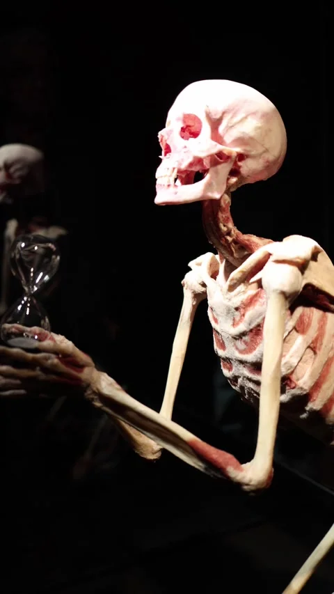 Skeleton watching hourglass time concept Video stock 331233101