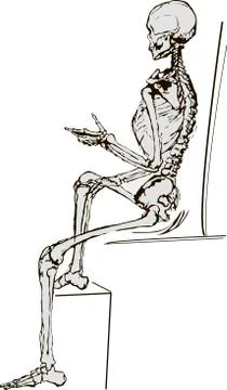 Skeleton on white  vector illustration Stock Illustration