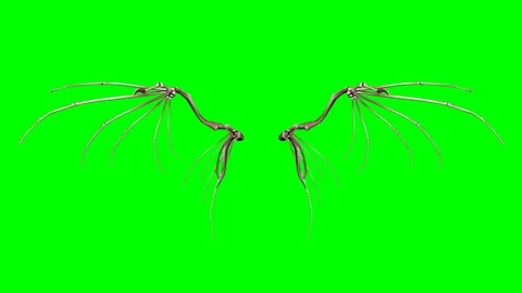 Skeleton Wings Animation Seamless Loop Green Screen Stock Footage 253537270