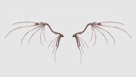 Skeleton Wings Animation Seamless Loop Alpha Channel Stock Footage 253537278