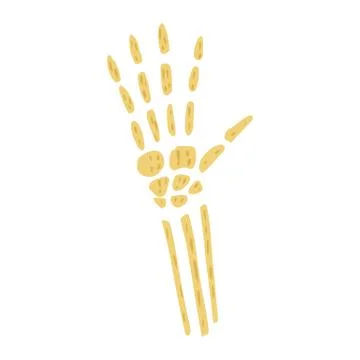 Skeleton wrist isolated on white background. Simple arm from bone sketch hand Stock Illustration