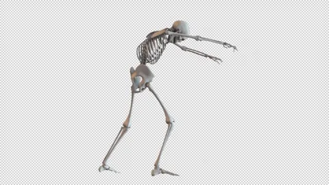 Skeleton Zombie Walk Loop 스톡 동영상 265087166