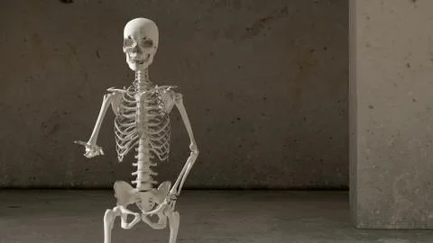 Skeletones Stock Illustration