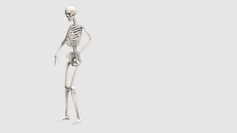 Skeletons Dancing – 3d render looped with alpha channel. Stock Footage 167532092