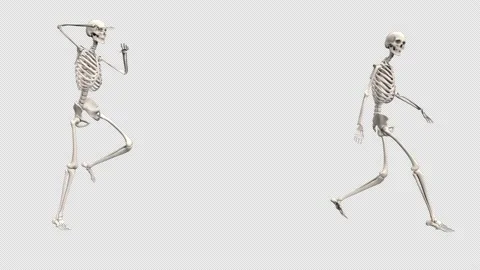 Skeletons Dancing - 3d render looped with alpha channel. Stock Footage 167537960