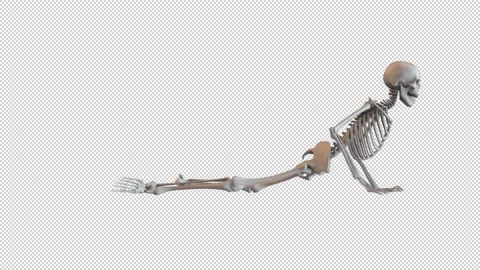 Skeletons Drag Crawl Loop Stock Footage 265072637