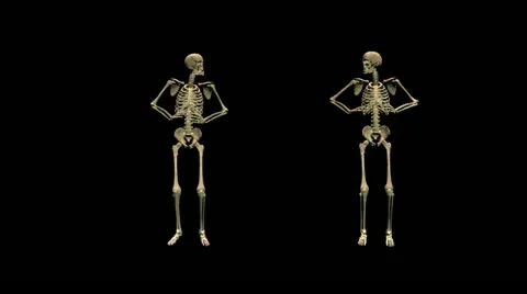 Skeletons funny gungda dance with alpha Video stock 14580409