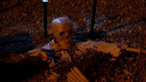 Skeletons Halloween decorations Stock Footage 98224329