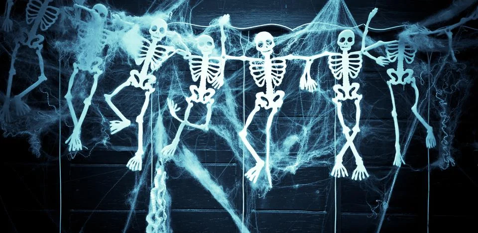 Skeletons Stock Photos