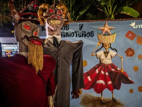 Skeletons Stock Photos