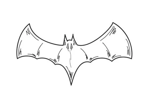 Sketch of the bat Stock Illustration