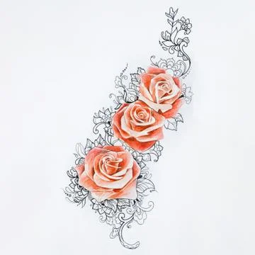 Sketch of beautiful red roses with patterns on white background. Stock Illustration