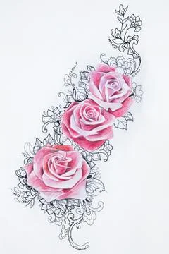 Sketch of beautiful red roses with patterns on white background. Stock Illustration