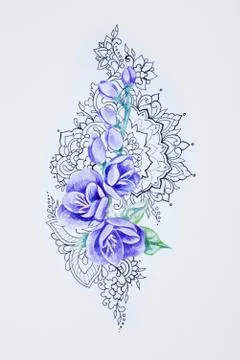 A sketch of a beautiful violet freesia in patterns on a white background. Stock Illustration