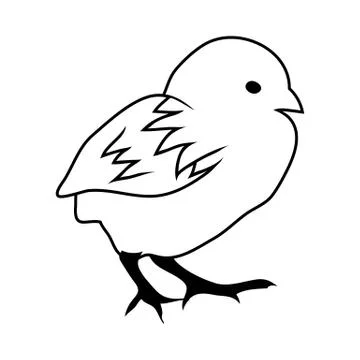Sketch of Bird 스톡 일러스트