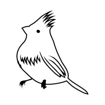 Sketch of Bird 스톡 일러스트