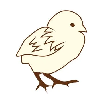 Sketch of Bird 스톡 일러스트
