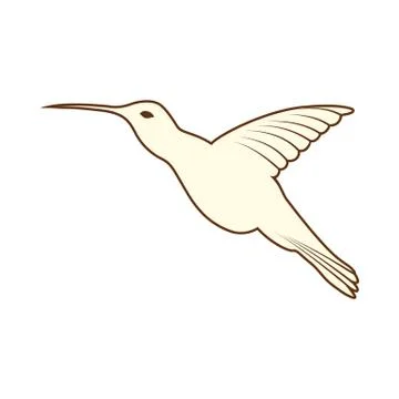 Sketch of Bird 스톡 일러스트