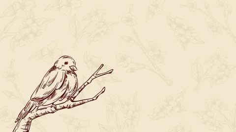 Sketch bird perched on tree branch Stock Illustration