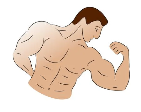 Sketch of a Bodybuilder Stock Illustration