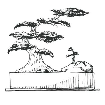 Sketch bonsai in a rectangular pot isolated on white background. Vector Stock Illustration