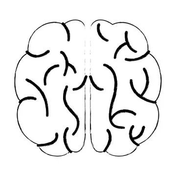 Sketch brain human knowledge process Stock Illustration