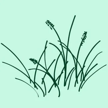 Sketch a bunch of grass. vector illustration. Drawing by hand. Stock Illustration