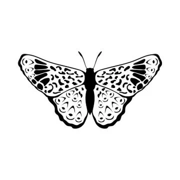 Sketch of Butterfly イラスト素材