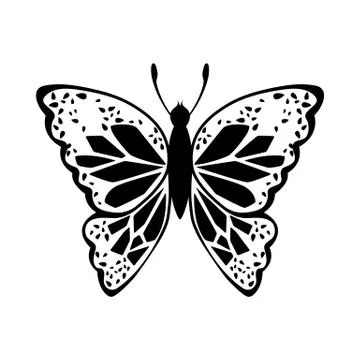Sketch of Butterfly 스톡 일러스트