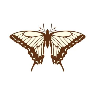 Sketch of Butterfly 스톡 일러스트