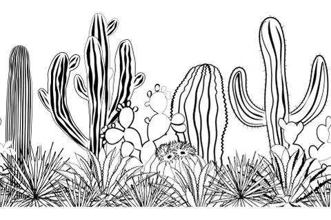 Sketch cacti seamless pattern. Black and white Stock Illustration