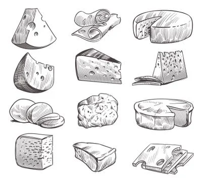 Sketch cheese. Various types of cheeses. Fresh cheddar, feta and parmesan dairy Stock Illustration