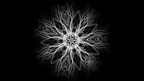 Sketch of complex blossom pattern - seamless looping (FULL HD) Video stock 83464948