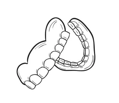 Sketch of the denture イラスト素材
