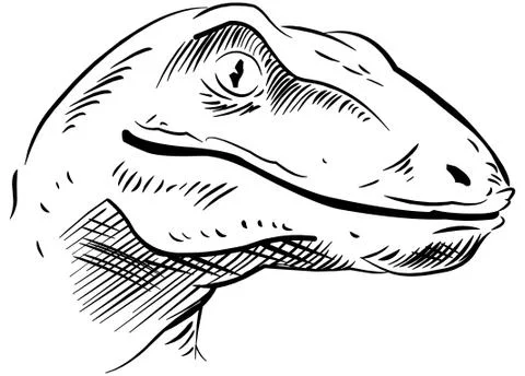 Sketch of the dinosaur head 스톡 일러스트