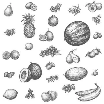 Sketch doodle hand-drawn set fruit Stock Illustration