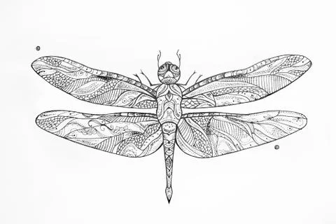Sketch of a dragonfly in the patterns on white background. Stock Illustration