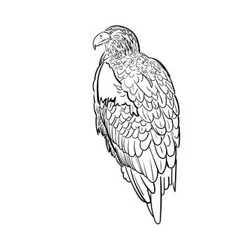 Sketch of eagle sitting . Vector illustration isolated on the white background Stock Illustration