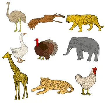 Sketch elephant, tiger, eagle, rooster, giraffe, ostrich, turkey, goose. ch.. Illustrazione stock