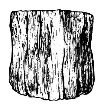A sketch of a fallen tree. a hand-drawn tree stump with a texture in a realistic Stock Illustration