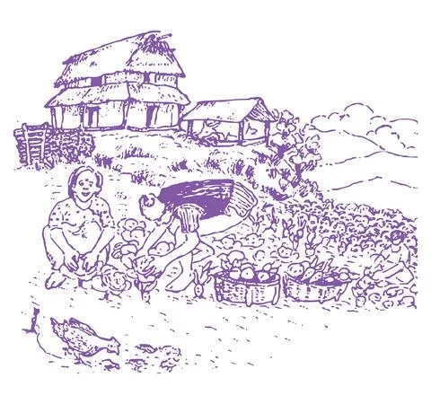 Image of Sketch Of Farmer Working With A Cow In A Agricultural Field And  Village Or Rural Environment Outline Editable Illustration-FA548595-Picxy