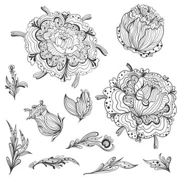 Sketch Floral Design Elements Stock Illustration