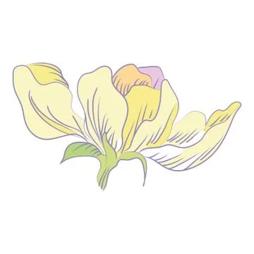 Sketch of a flower Stock-Illustration