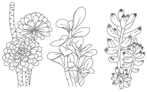 Sketch of flowers element 스톡 일러스트