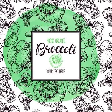 Sketch frame with broccoli Ilustración de archivo