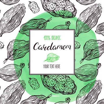Sketch frame with cardamom 库存插图