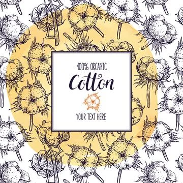 Sketch frame with cotton Stock Illustration