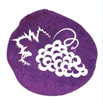Sketch of grape Illustrazione stock