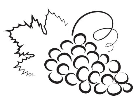 Sketch of grape Stock Illustration